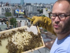 Rooftop beekeeping in Brookyln, New York